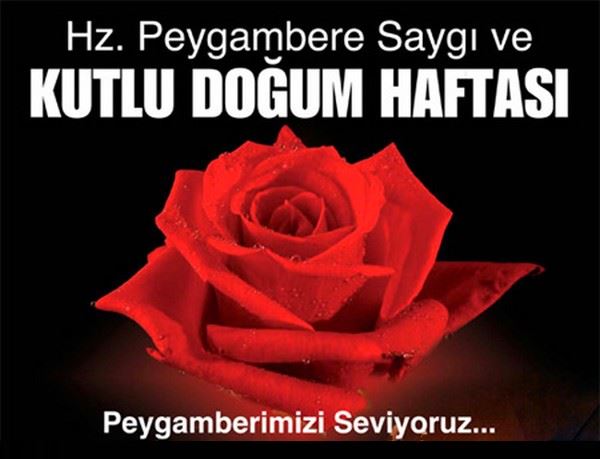 Kutlu doğum haftası ile ilgili fotoğraflar – kartlar