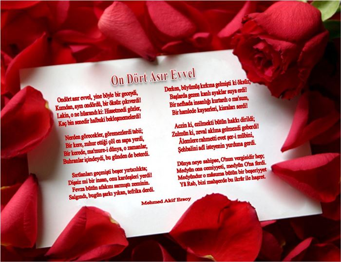 Kutlu doğum haftası özel naatlar