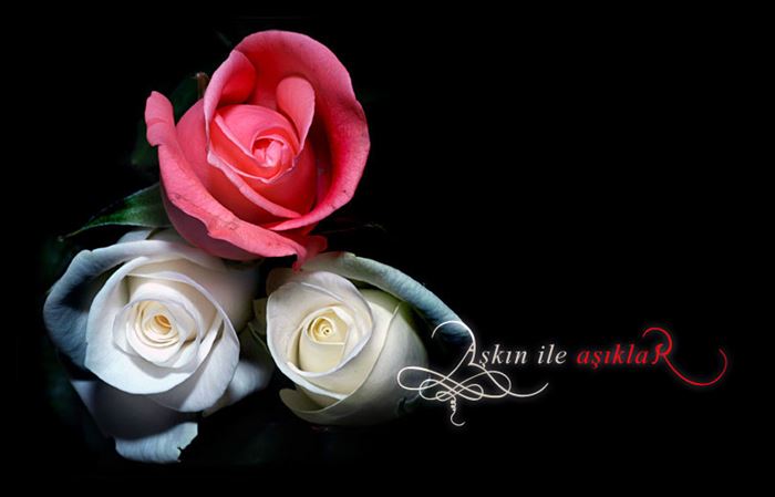 Güllerin Efendisi’ne en güzel güller Bir gülde siz ekleyin