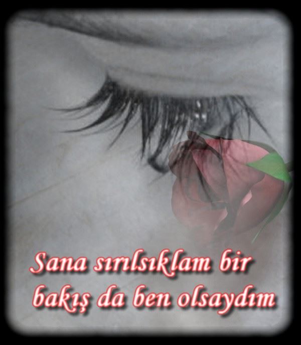 Güllerin Efendisi’ne en güzel güller Bir gülde siz ekleyin