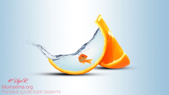 Kuran-ı Kerimde Geçen Balıkla İle İlgili Ayetler