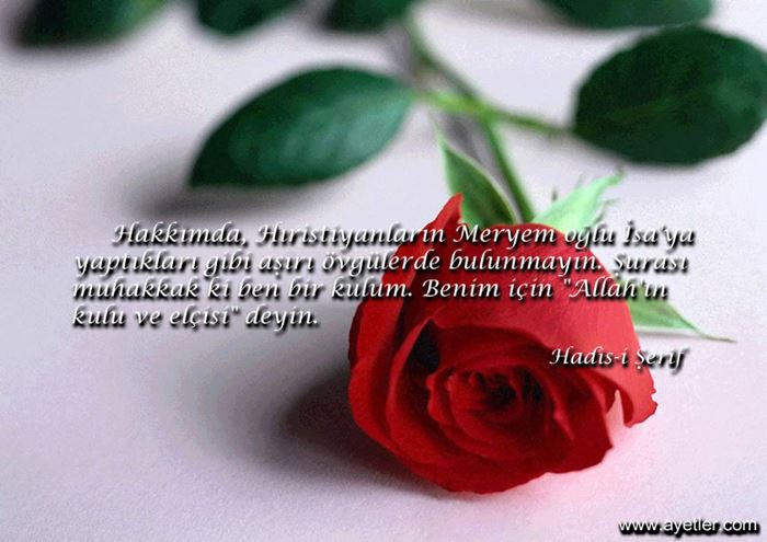 Güzel davranışlarla ilgili hadis mealleri resimli hadisler…