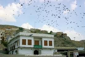 Peygamberimizin doğduğu ev resim