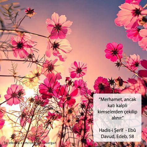 Çiçeklerle Ayet Ve Hadisler II