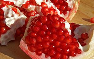 Cennetin bitkileri, meyveleri, pınarları, döşekleri, kadınları hakkında bilgi