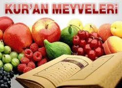 Cennetin bitkileri, meyveleri, pınarları, döşekleri, kadınları hakkında bilgi