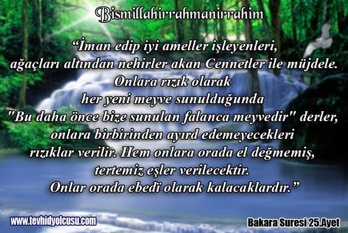 Cennetin bitkileri, meyveleri, pınarları, döşekleri, kadınları hakkında bilgi