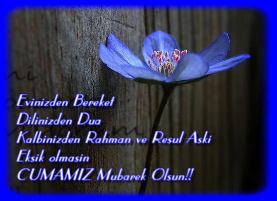 Ayetlerle cuma mesajları