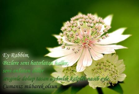 Ayetlerle cuma mesajları