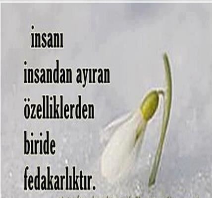 Fedakarlık Sözleri