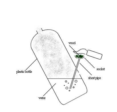 Bong nasıl yapılır