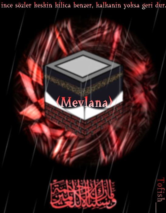 Mevlana’dan İnciler(resimli yazılar)