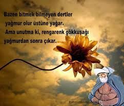 Mevlana’dan İnciler(resimli yazılar)