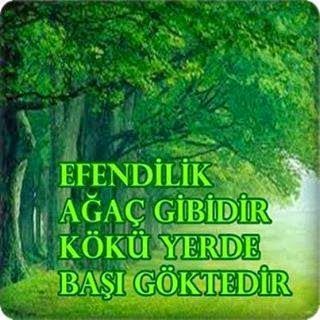 Orman haftası ile ilgili  resimli sözler