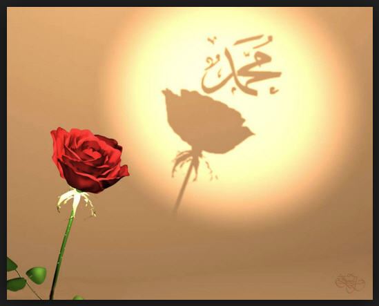 Peygamber efendimizin simgesi gül