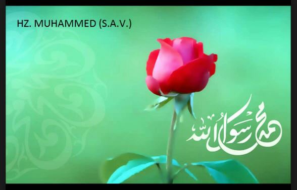 Peygamber efendimizin simgesi gül