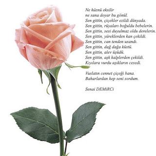 Sen gittin.. Senai Demirci şiiri