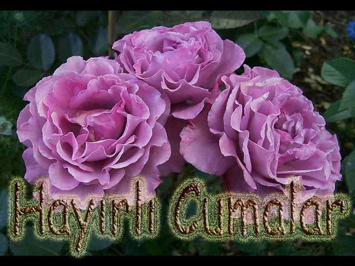 Cuma tebrik resimleri (e-kart)