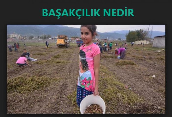 Başkasının bahçesindeki çürümeye terkedilmiş yada artakalmış fındığı toplamak haram mı ?