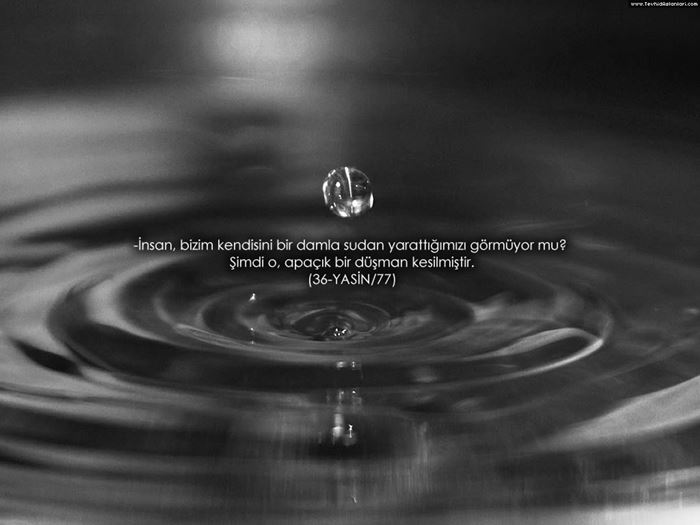 Ayetli Duvar Kağıtları (Wallpapers)