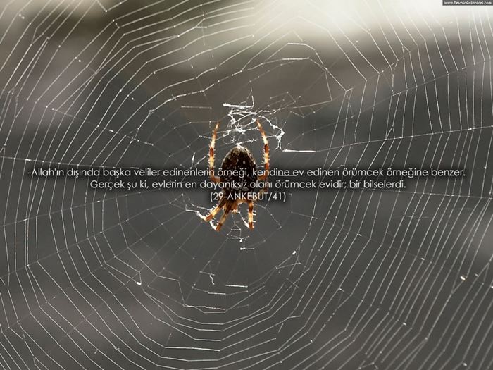 Ayetli Duvar Kağıtları (Wallpapers)