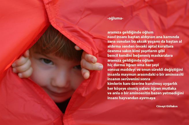 Seni seviyorum oğlum (resimlerle)