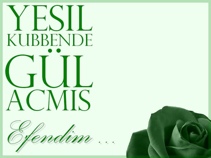 Yeşil Kubbe ve Gül