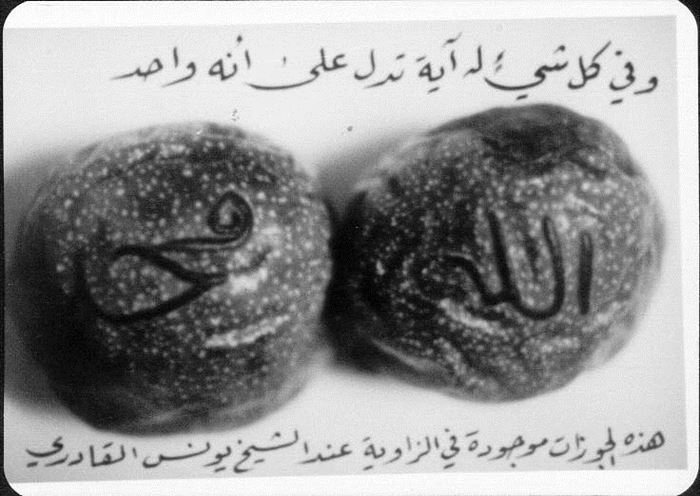 Günün Resmi (her gün bir resim)