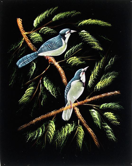 İki (çift) kuş resimleri