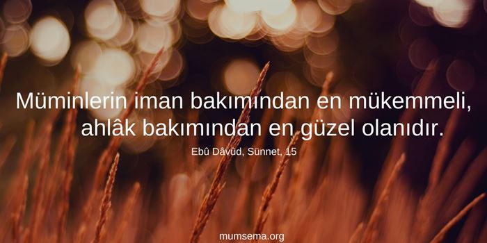 Resimlerle Ayetler, Hadisler, Güzel Sözler..