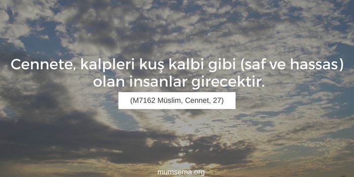 Resimlerle Ayetler, Hadisler, Güzel Sözler..