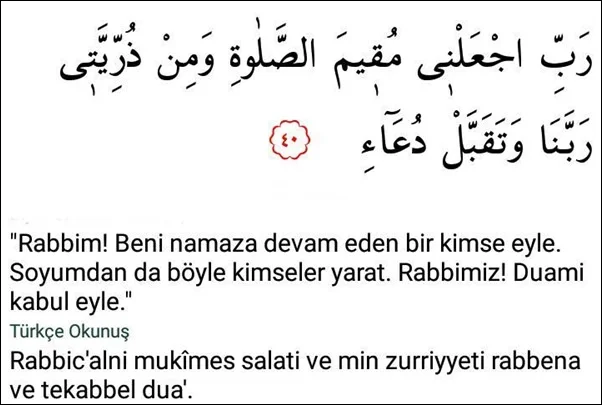 Hamilelilke dua