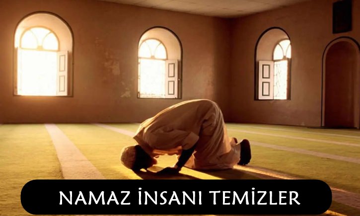 namz insani temizler