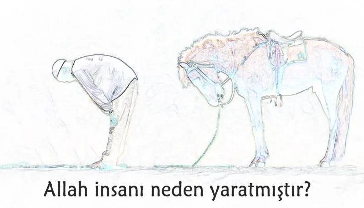 insan neden