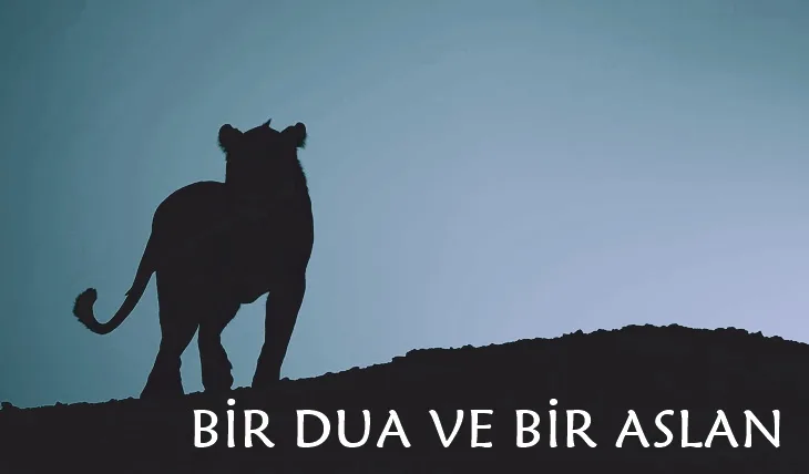 utbe bin ebu leheb