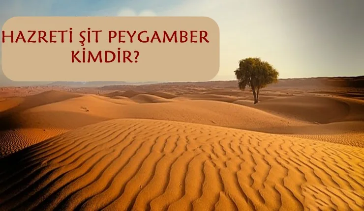 Şit Peygamber