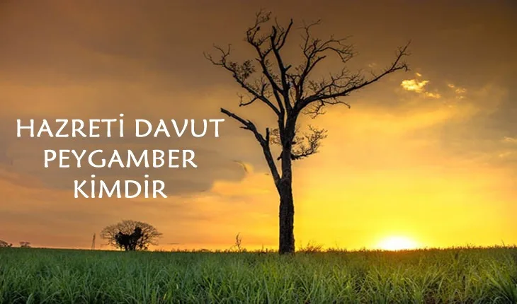 Davut peygamber kimdir