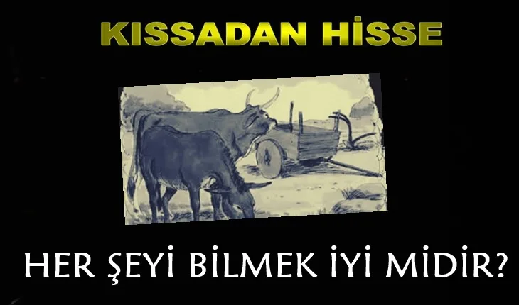 kıssadan hisse