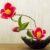 Japon Çiçek Düzenleme Sanatı : İkebana
