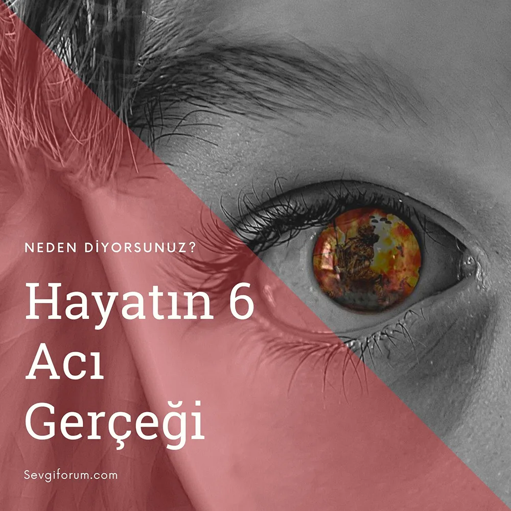 hayatin 6 aci gercegi