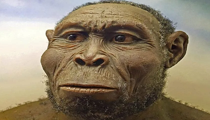 homo rudolfensis