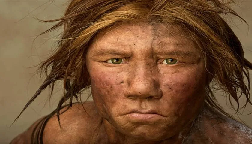 neandertal