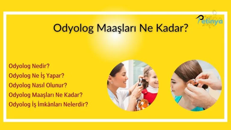 odyolog
