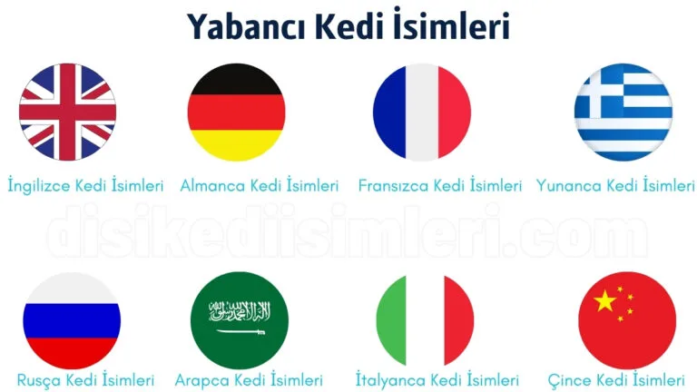 yabanci kedi isimleri