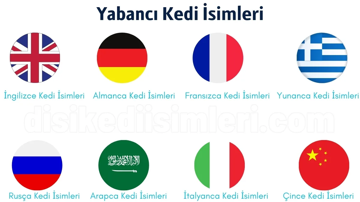 yabanci kedi isimleri