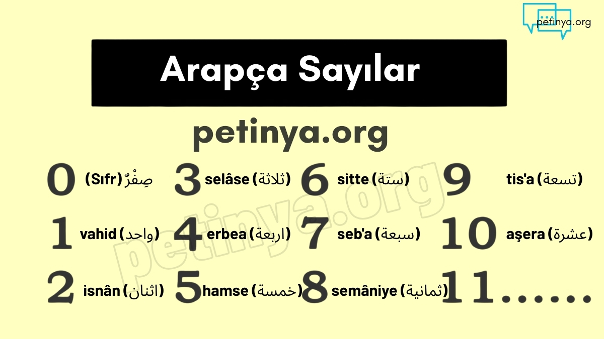 arapca sayilar rakamlar